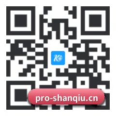 系统版 iOS 二维码
